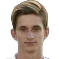 D. Pleštil