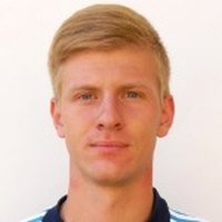 M. Levashov