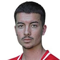 M. Gajic