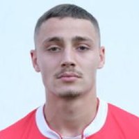 N. Glišić