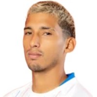 J. Pinto
