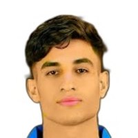 Mohamed Zidan