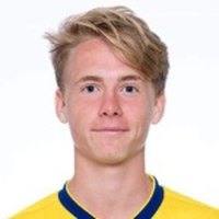 Erman Vardar