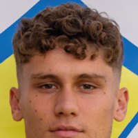 Stefano Piccinini