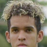 Johan Mina