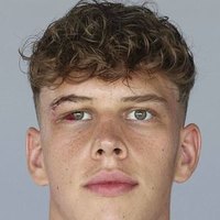 Maximilian Fillafer