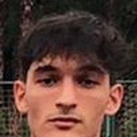 Taha Veysel Kemendi
