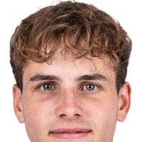 Bram van Driel