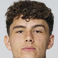 Dominik Nisandzic