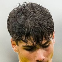 Davide Renzetti