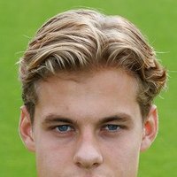 Joël van der Wilt