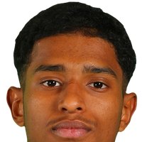 Meshari Al-Nemer