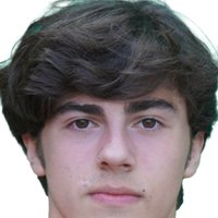 Djordje Skocajic