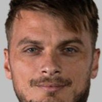 Adem Ljajic