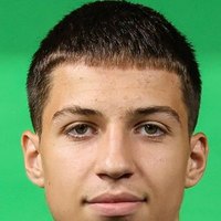 Dimitrije Saric