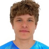 V. Paltsev