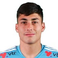M. Meneses