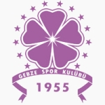 Güzide Gebzespor crest