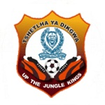 Police XI crest