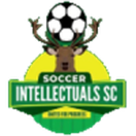 Soccer Intellectuals crest