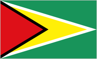 Guyana U20 crest