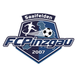 Pinzgau Saalfelden crest