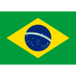 Brazil U17 crest
