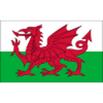 Wales U18 crest