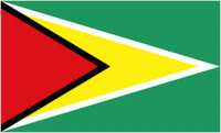 Guyana W U17 crest