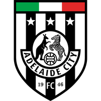 Adelaide City crest