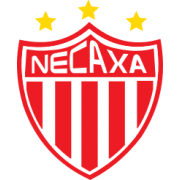 Impulsora del Deportivo Necaxa S.A. de C.V. crest